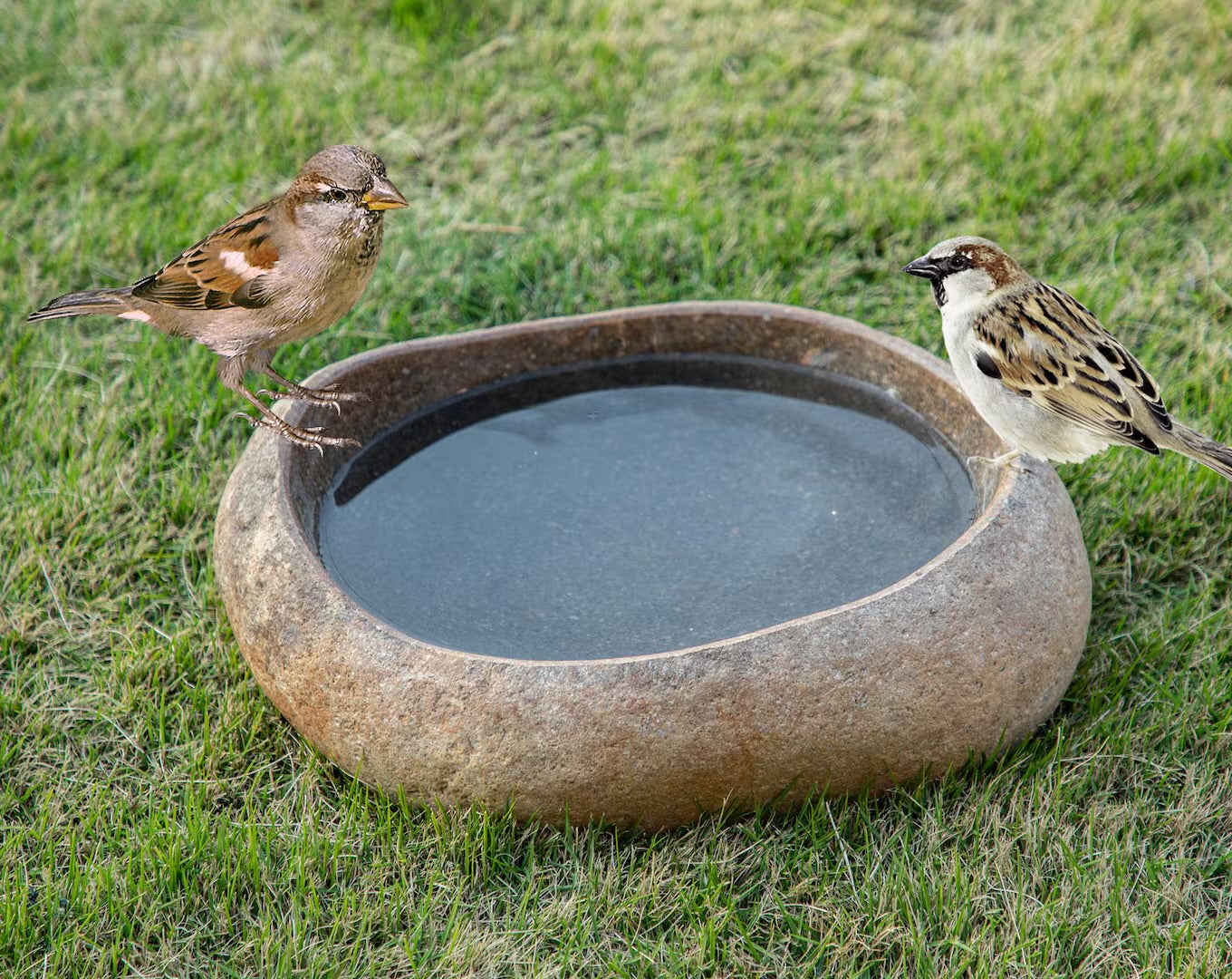 Bebedero para Aves Piedra Natural